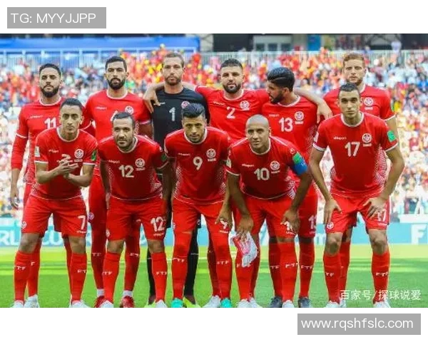 突尼斯足球历史第一球星的崛起与辉煌成就揭秘